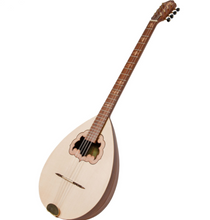 Load image into Gallery viewer, Roosebeck Greek Bouzouki Stave Body w/ Padded Gig Bag
