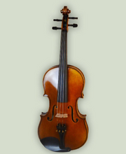 Load image into Gallery viewer, McNeela Maestro Violin
