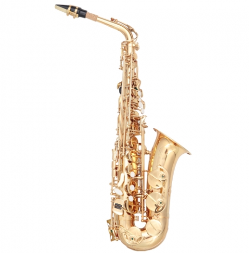 Glarry Student E Flat Alto SAX Saxophone Bundle (Black or Gold)