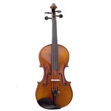 Load image into Gallery viewer, SKY Professional Artist 500 Series 4/4 Concert Violin Bundle

