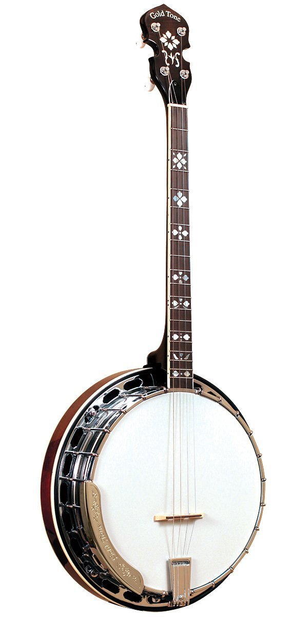 Gold Tone TS-250 Special Tenor Banjo, 4 String