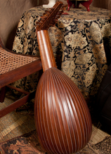 Load image into Gallery viewer, Roosebeck Deluxe 8-Course Lute Canadian Cedar w/ Gig Bag, Play Book
