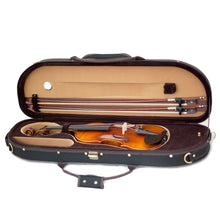 Load image into Gallery viewer, SKY Professional Artist 500 Series 4/4 Concert Violin Bundle
